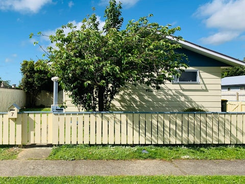 7 Guy Avenue, Levin, Levin