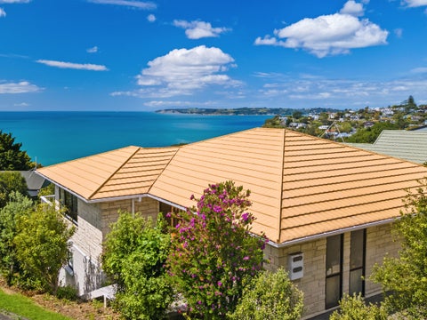 258 Whangaparaoa Road, Red Beach, Red Beach