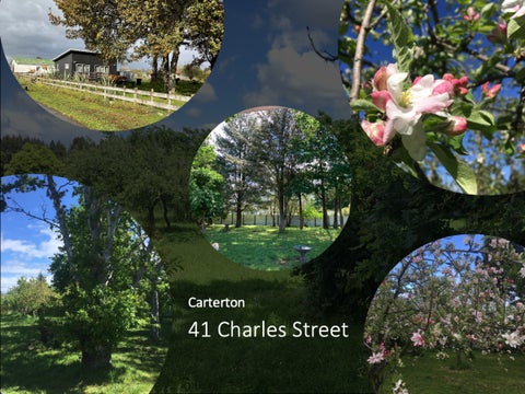 41 Charles Street, Carterton