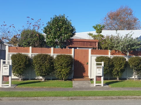 107 Ryder Crescent, Levin, Levin