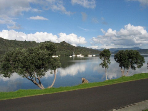 23 Robinson Road, Whitianga, Whitianga
