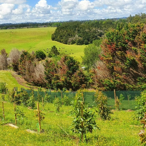 268B Kapiro Road, Kerikeri, Kerikeri