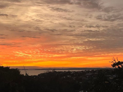 1/31 King Richard Place, Browns Bay, Auckland