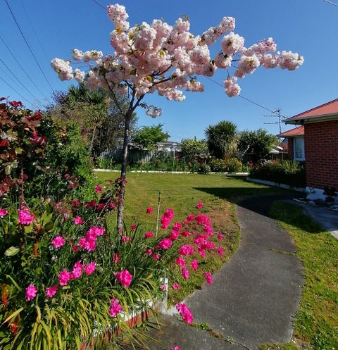 7 Fleet Street, Solway, Masterton