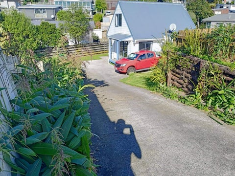 16B Oriana Crescent, Bellevue, Tauranga