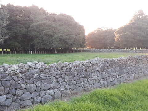 13 Rotomate Road, Te Kamo, Whangārei