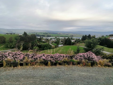 2A Beacon Street, Waihola