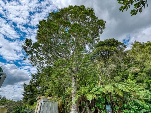 247 Larmer Road, Kaitaia, Kaitaia