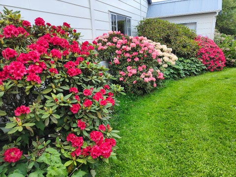 123 Kerrytown Road, Kerrytown