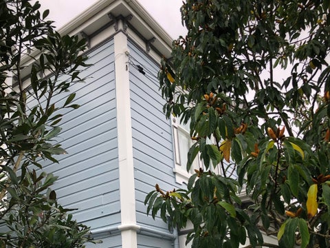 17 Roy Street, Newtown, Wellington