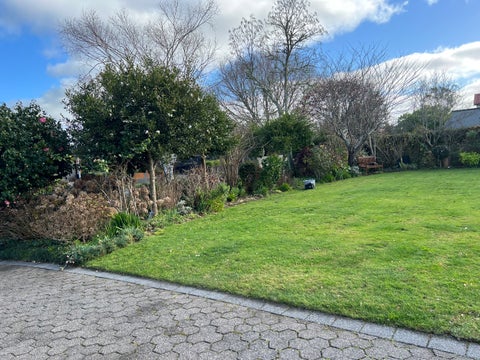 74 Delamare Road, St Andrews, Hamilton