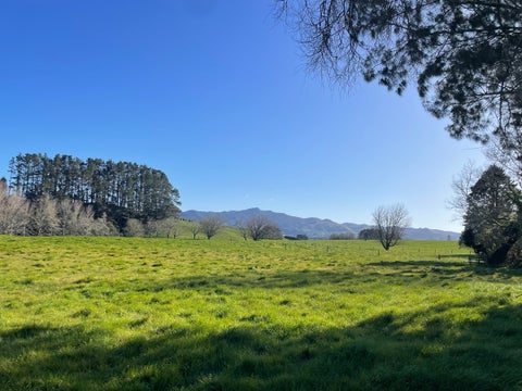 118 Pukewera Road, Waihi, Waihi