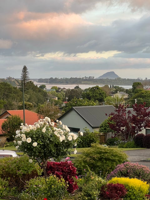 10 Bayvista Close, Welcome Bay, Tauranga