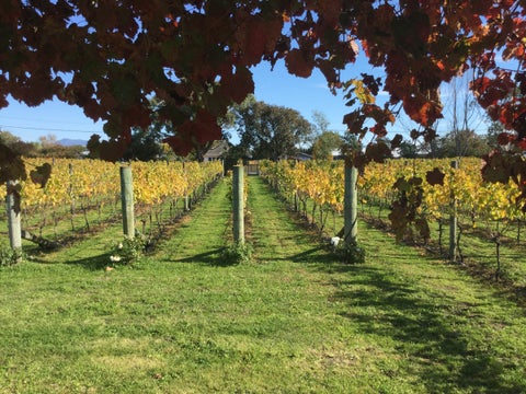 1 New York Street, Martinborough