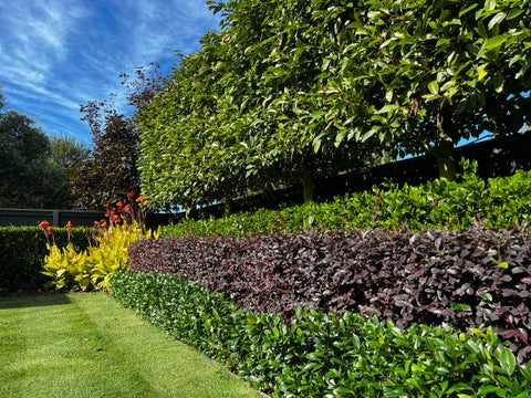 41 Manurere Street, Hei Hei, Christchurch
