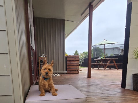 2 Hulbert Street, Motueka