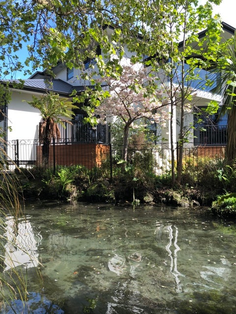 52 Garden Road, Merivale, Christchurch