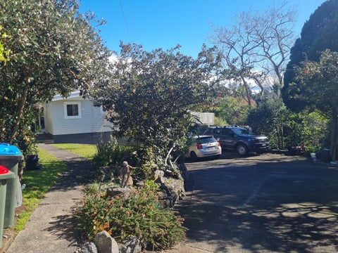 96 Methuen Road, New Windsor, Auckland