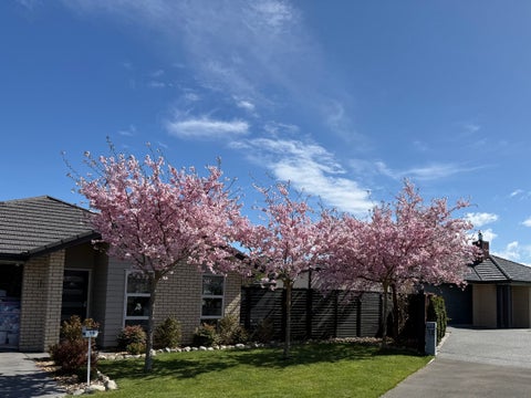 14 Catchpole Place, Woodend, Woodend