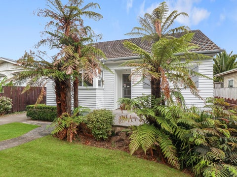 14 Newcastle Terrace, Mount Albert, Auckland