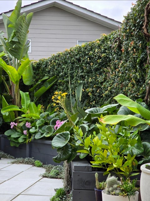 55 Sunset Road, Totara Vale, Auckland