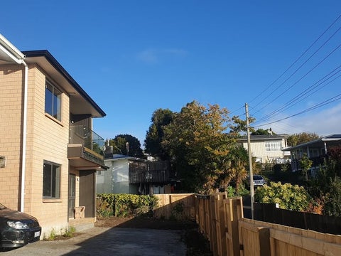 25A Peter Buck Road, New Windsor, Auckland