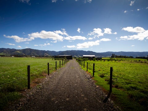 490 Maharahara Road, Dannevirke, Dannevirke