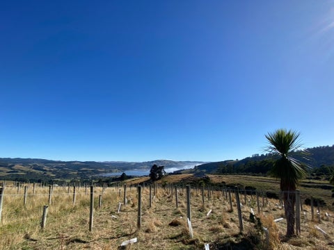 19 Old Cottage Lane, WAITATI, WAITATI