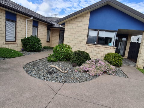 61 Gibson Road, Tuakau, Tuakau