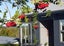 13 HEWLINGS ST, Geraldine, Geraldine - Carousel 1