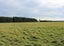 438 Kerrs Road, Christchurch - Carousel 1