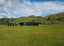 881E Norfolk Road, Carterton - Carousel 1