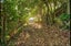 19 Benares Street, KHANDALLAH 6035, WELLINGTON - Carousel 1