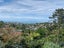 2/559 East Coast Road, Browns Bay, Auckland - Carousel 1