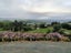 2A Beacon Street, Waihola - Carousel 1