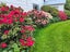 123 Kerrytown Road, Kerrytown - Carousel 1
