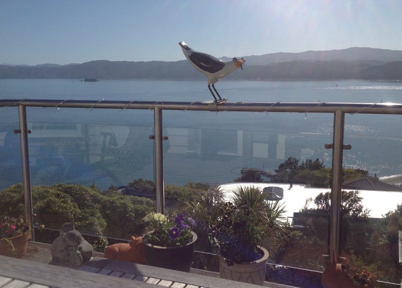 60 Seatoun Heights Road, Seatoun, Wellington - Carousel 1