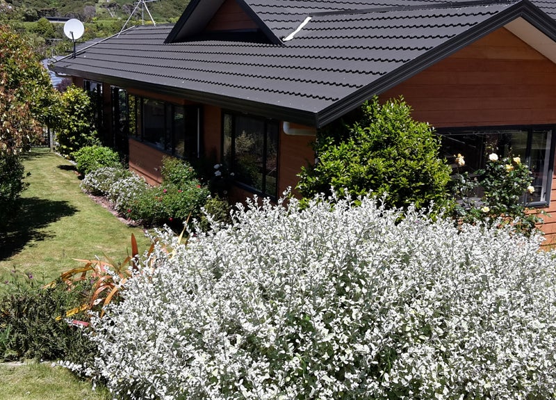 6 Bowman Place, Whitby, Porirua - Carousel 1