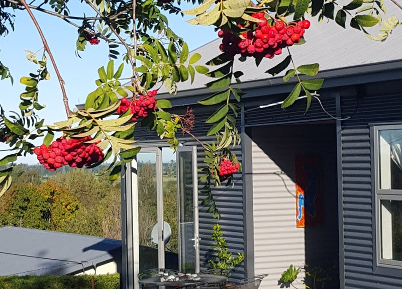 13 HEWLINGS ST, Geraldine, Geraldine - Carousel 1
