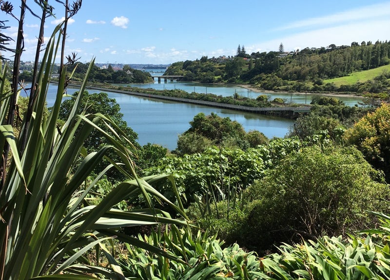 15A Puroto Street, Meadowbank, Auckland - Carousel 1