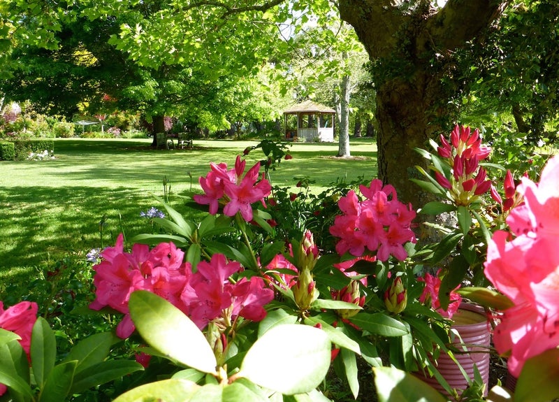 176A Work Road, Aongatete - Carousel 1