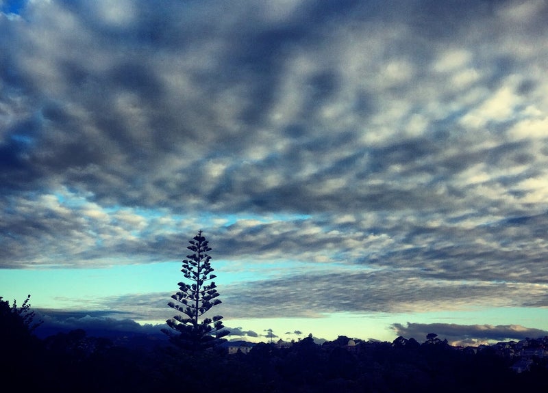 13 Bank Road, Northland, Wellington - Carousel 1