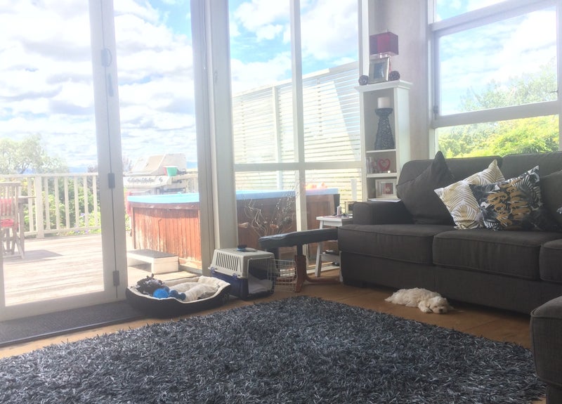 3 Terrace Street, Putaruru - Carousel 1