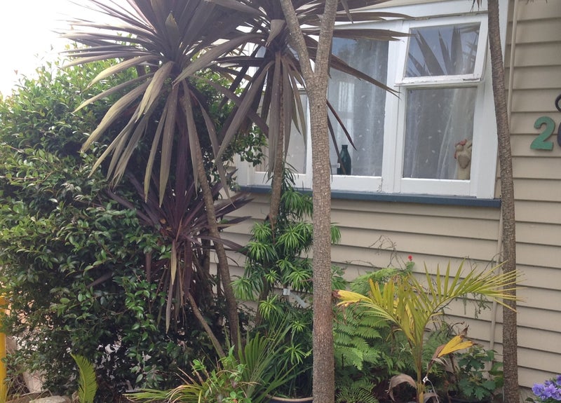 20A Kaka Road, Raumati Beach, Paraparaumu - Carousel 1