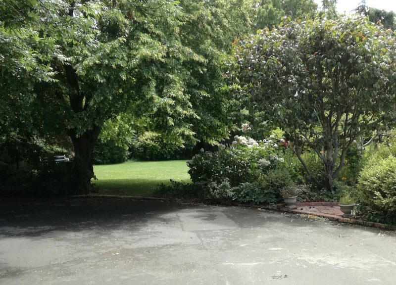 3 Golden Elm Lane, Upper Riccarton, Christchurch - Carousel 1