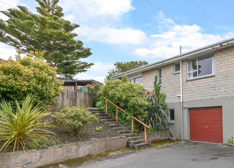 2A Renfrew Street, Balaclava, Dunedin - Carousel 1