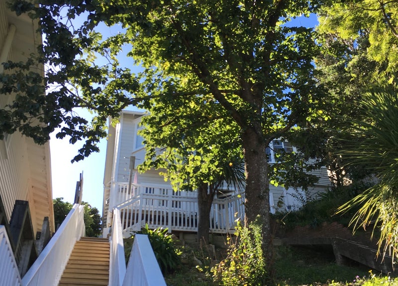 13 Balmoral Terrace, Newtown, Wellington - Carousel 1