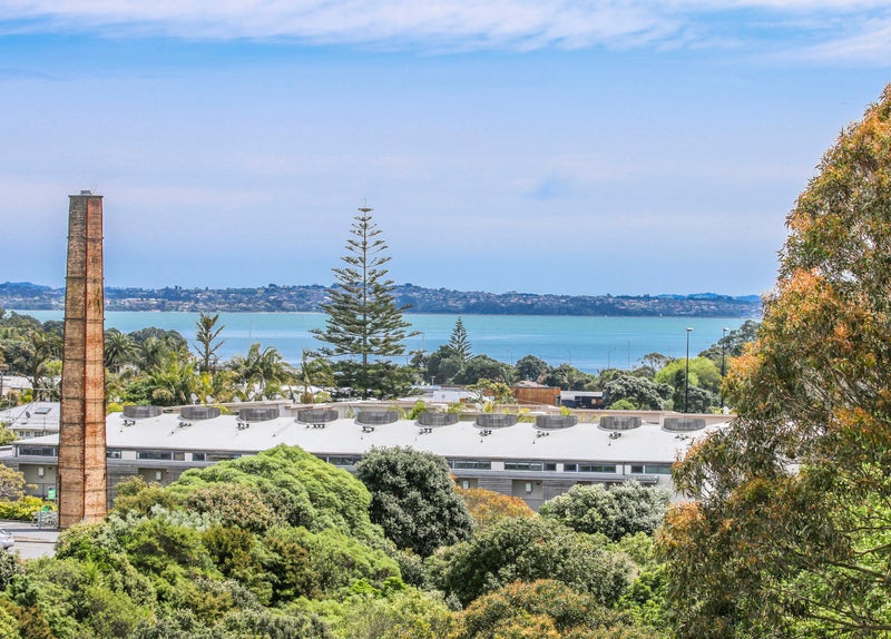 4N/250 Richmond Road, Grey Lynn, Auckland - Carousel 1
