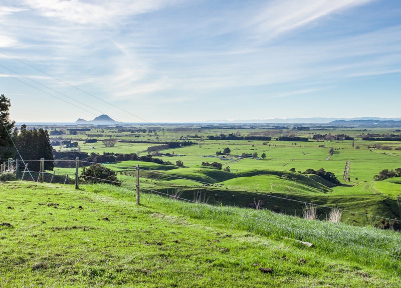 141A Withy RD, MANAWAHE, WHAKATANE - Carousel 1