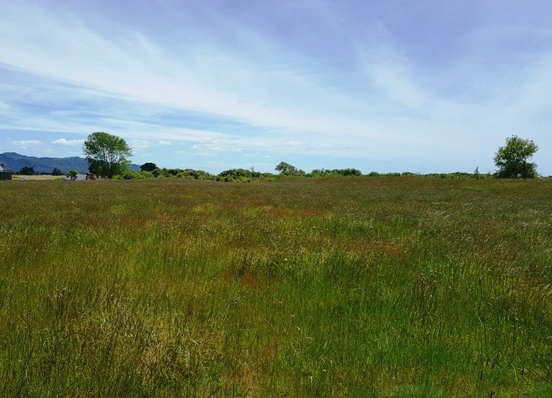 23 Walker RD, Matata, WHAKATANE - Carousel 1